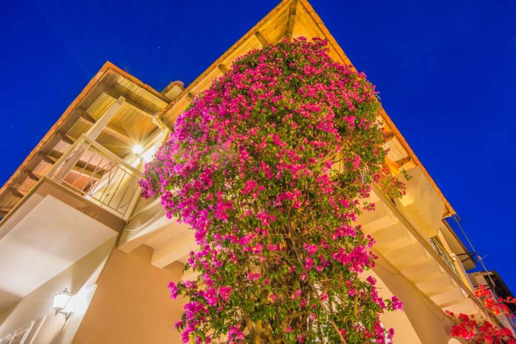 Villa Emily Zakynthos Tsilivi  Exterior photo